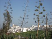 Vista panoramica de Alozaina. Alozaina, Málaga